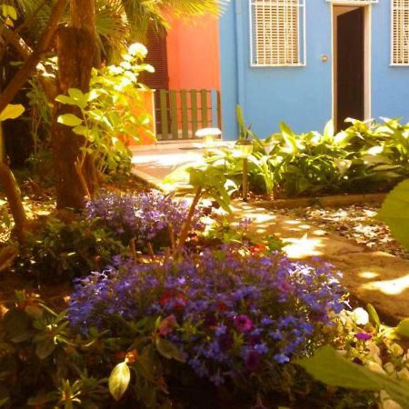 Eco B&B I Due Oleandri Marina Di Carrara Exteriör bild